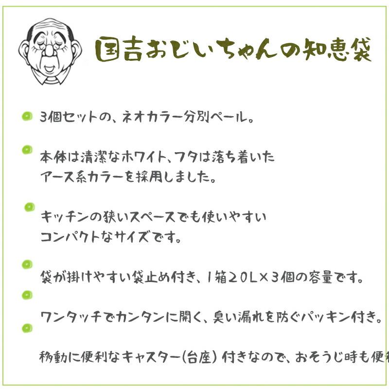 分別 ゴミ箱 ネオカラー 分別 台座付 タッチペール 3個セット トンボ / 日本製 20L ごみ箱 蓋付き ダストボックス スリム キャスター /｜kunikichisyouten｜08