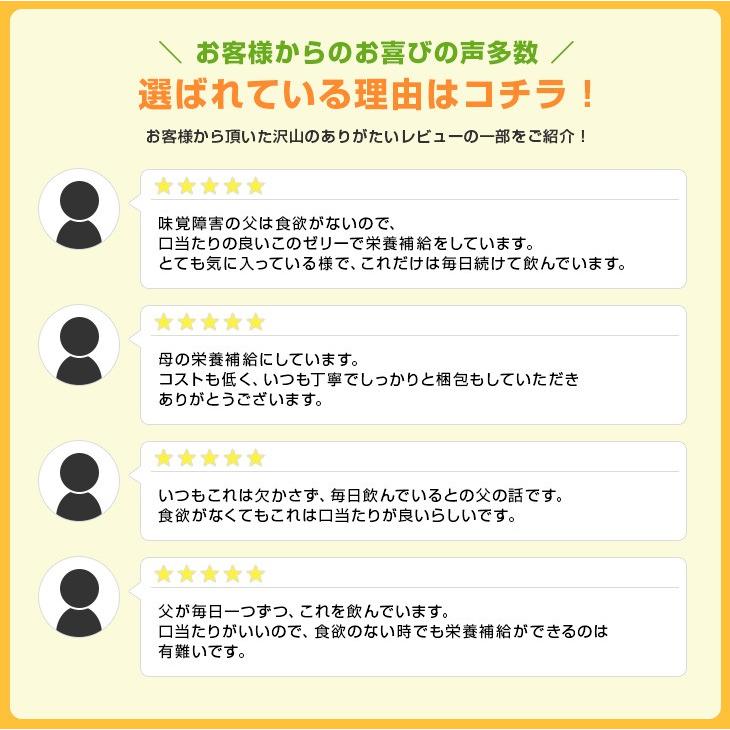 大塚製薬 カロリーメイトゼリー 2ケース(48個)アップル味48個 大塚製薬 カロリーメイトゼリー 2ケース(48個)アップル味48個