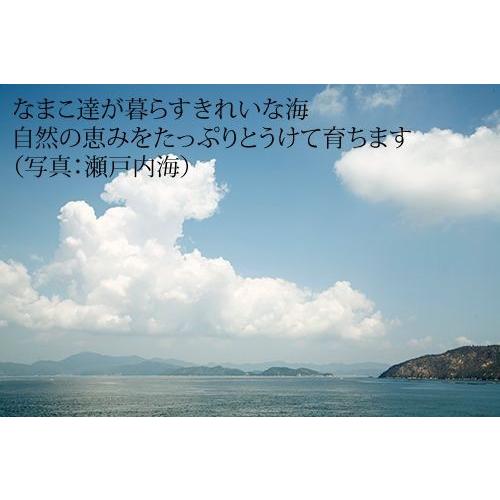 乾燥なまこ 赤 500g 和歌山、瀬戸内産 (Mサイズ:6〜9g） 