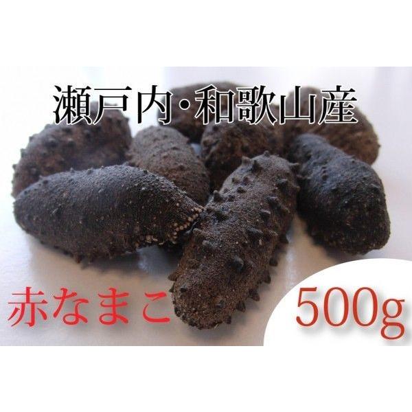 乾燥なまこ 赤 500g 和歌山 瀬戸内産 Lサイズ 10 15g Conf Afew Org Ua