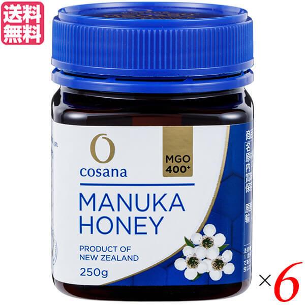 マヌカハニー Mgo ニュージーランド コサナ マヌカハニー Mgo400 250g 6個セット 送料無料 Snxnz5khmj Www Liquidworks Com Br