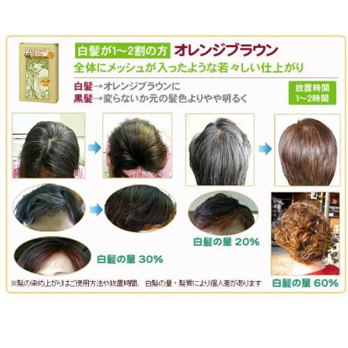 ヘアカラー ヘアマニキュア ヘナ グリーンノートヘナ オレンジブラウン 100g 2個セット 送料無料 Gnh Ob2 Kunistyle 通販 Yahoo ショッピング