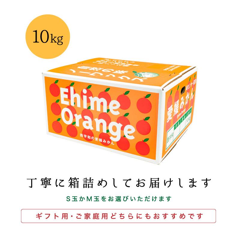 創業85年 愛媛みかん の老舗／【送料無料】【ギフト】【産地直送】愛媛