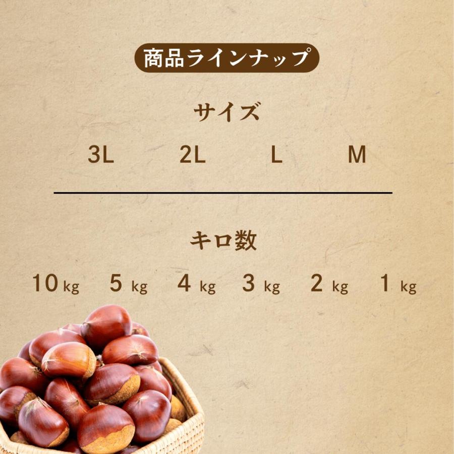 kayoriさまご予約専用 大分県産 銀寄 生栗 4kg 銀寄栗 1kg」【送料無料