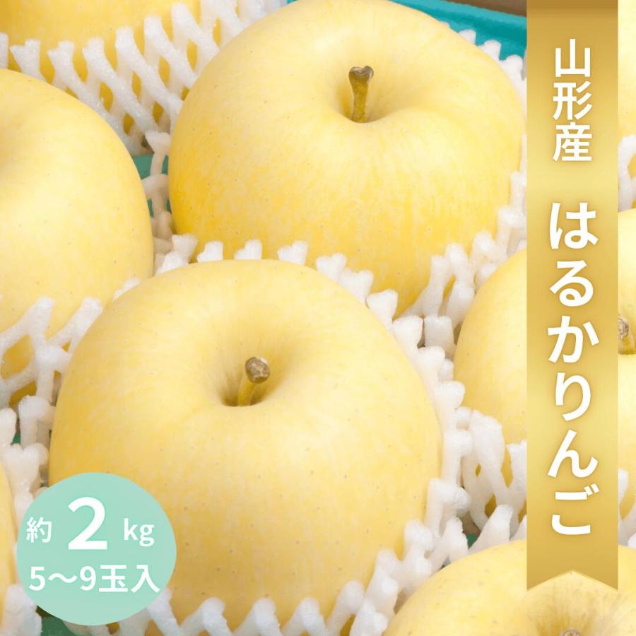 はるかりんご」☆黄金のりんご☆【送料無料】【産地直送】山形産