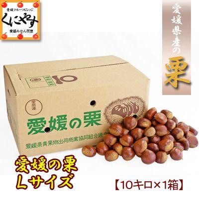 厳選品】【送料無料】愛媛産の早生栗Lサイズ10キロ(約430-550個 