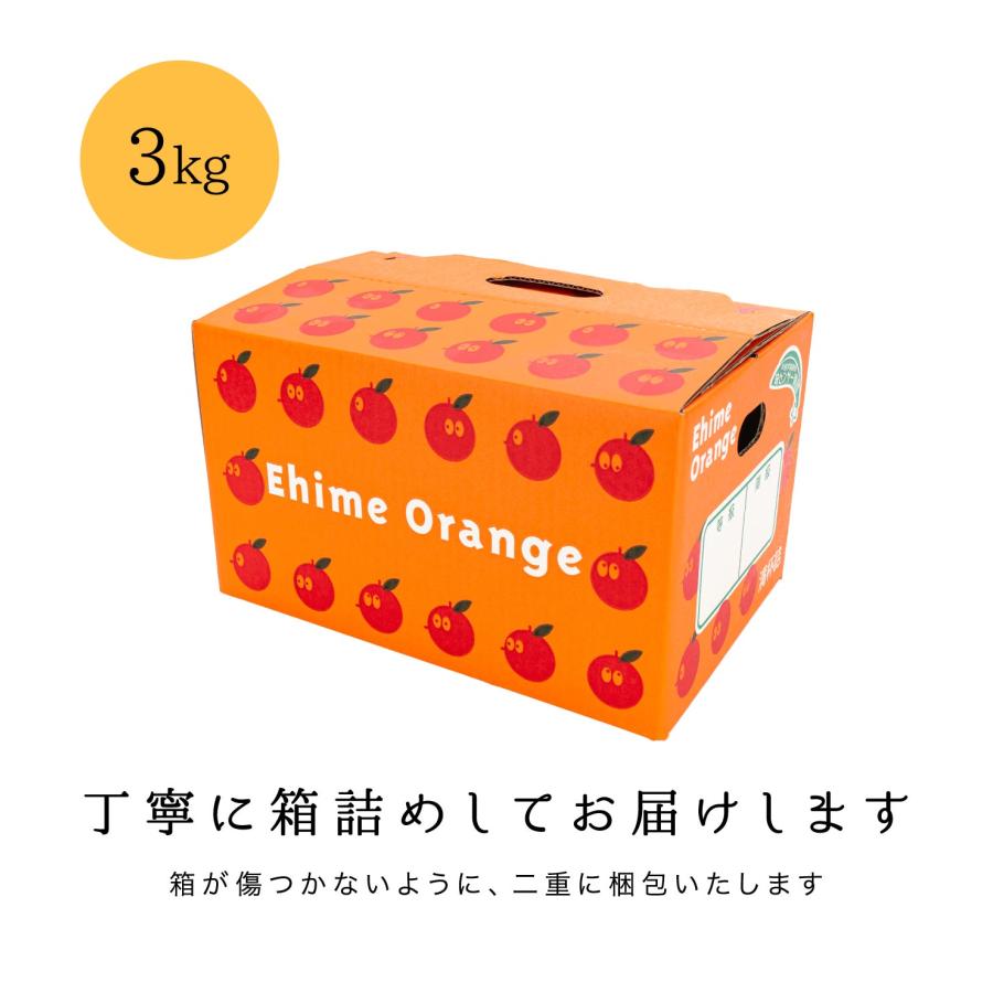 お試し愛媛はるか3」【送料無料】【お試し品】愛媛西宇和産はるか お
