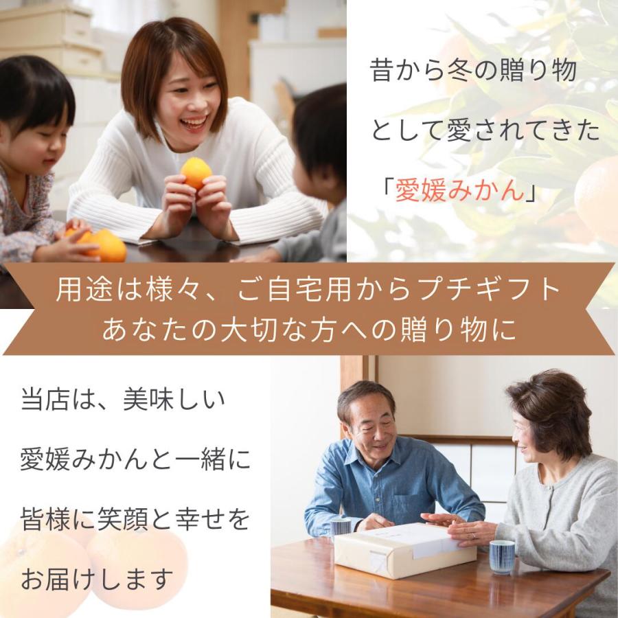 お試し愛媛はるか3」【送料無料】【お試し品】愛媛西宇和産はるか お