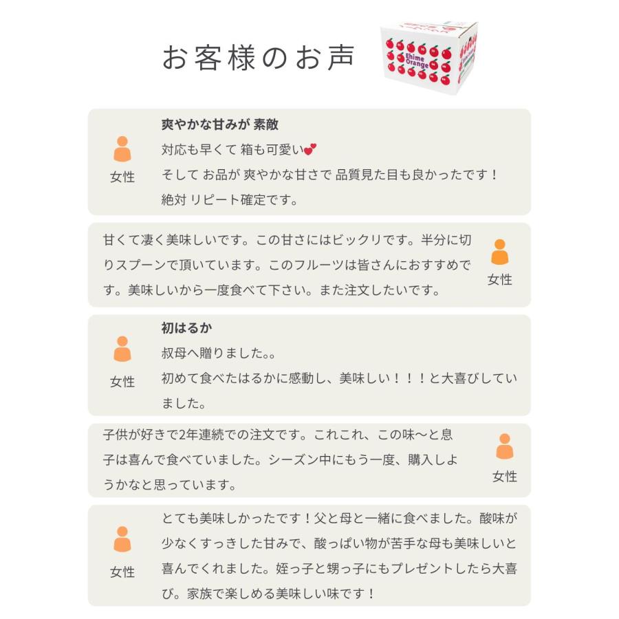 お試し愛媛はるか3」【送料無料】【お試し品】愛媛西宇和産はるか お