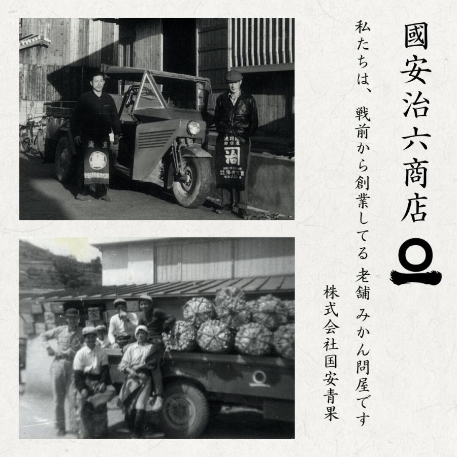 お試し愛媛はるか3」【送料無料】【お試し品】愛媛西宇和産はるか お