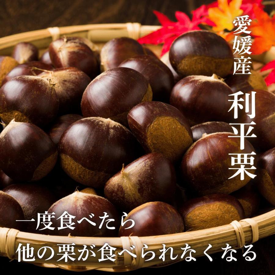 利平栗 10kg」【送料無料】【クール便】愛媛産 利平栗 10キロ M