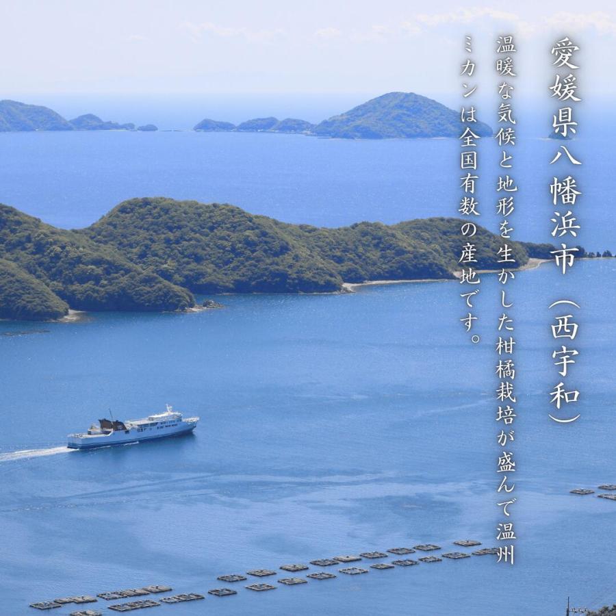 訳あり愛媛はるみ5」【送料無料】【産地直送】訳あり 愛媛はるみ 5kg