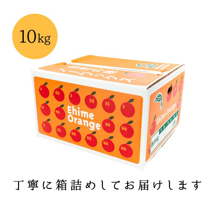 「訳あり媛の月みかん10」【数量限定】【送料無料】【希少品種】【訳あり品】愛媛西宇和産 訳あり媛の月10kg｜kuniyasu-seika｜04