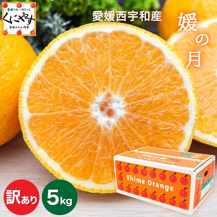 訳あり媛の月みかん5 愛媛西宇和産媛の月みかん5kg 5kg 1箱 大きさ不揃い 訳あり のしギフト対応不可 W Himetuki5 愛媛フルーツ村くにやす 通販 Yahoo ショッピング