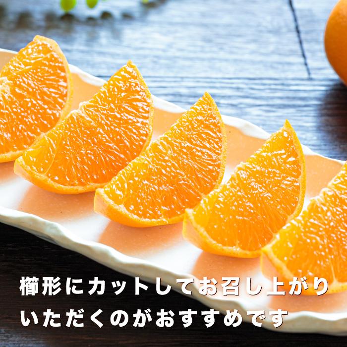 訳ありせとか3」【送料無料】【産地直送】訳あり 愛媛西宇和産 せとか