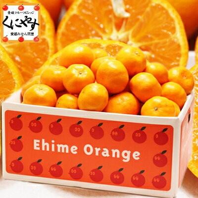 訳ありたまみ5 数量限定 送料無料 訳あり品 愛媛西宇和産たまみみかん5kg 5kg 1箱 タマミ 大きさ不揃い のしギフト対応不可 W Tamami5 愛媛フルーツ村くにやす 通販 Yahoo ショッピング