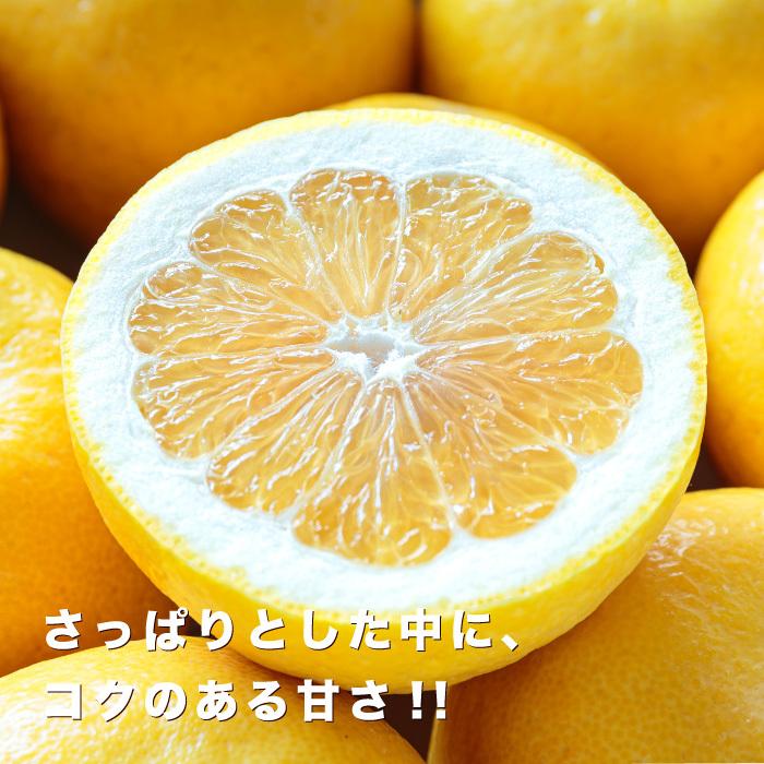 「贈答ナダオレンジ5」 送料無料 高級果物 贈答用ナダオレンジ5kg,皮むき簡単食べ易い冷やして食べるとひんやりジューシー(河内晩柑,かわちばんかん)｜kuniyasu-seika｜02