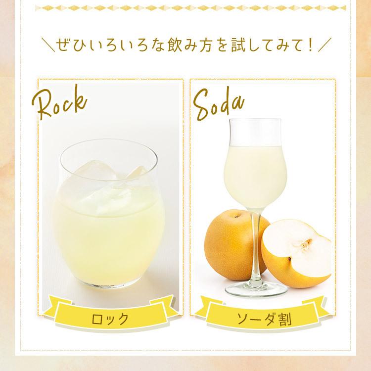 中埜酒造 國盛 なしのお酒 300ml / 中埜酒造 リキュール 果実酒