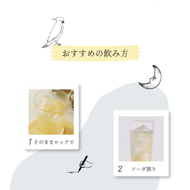 中埜酒造 國盛 toromelt ライチ 300ml / とろめると トロメルト 中埜酒造 國盛 toromelt ライチ 300ml / とろめると トロメルト
