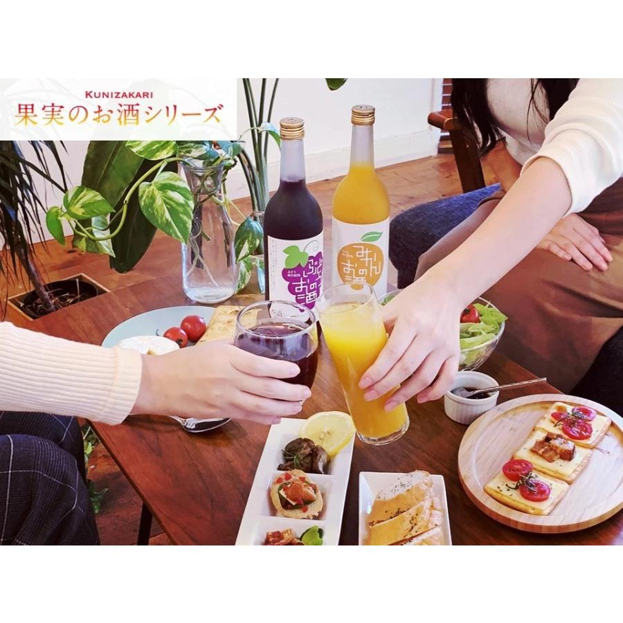 中埜酒造 【ケース販売】みかんのお酒 720ml 1ケース(6本セット) / 國