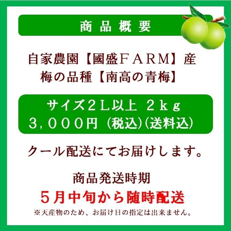最大52 Offクーポン 南高梅 青梅 2l サイズ 2kg 送料無料 梅酒用 梅シロップ用 梅ジュース 生梅 梅の実 5月中旬頃から発送 Columbiatools Com