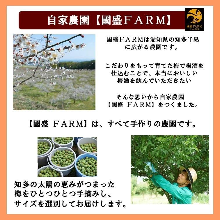 最大52 Offクーポン 南高梅 青梅 2l サイズ 2kg 送料無料 梅酒用 梅シロップ用 梅ジュース 生梅 梅の実 5月中旬頃から発送 Columbiatools Com