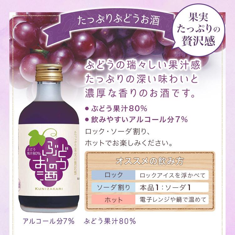 中埜酒造 國盛 ぶどうのお酒 300ml / 中埜酒造 リキュール 果実酒