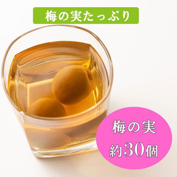 中埜酒造 國盛 おばあちゃんの梅酒 1400ml 実入りデカンタ / 本格梅酒