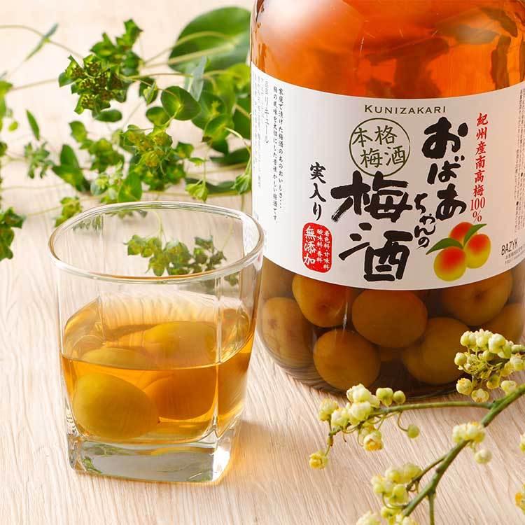 中埜酒造 【送料無料】【2本セット】國盛 おばあちゃんの梅酒 1400ml×2