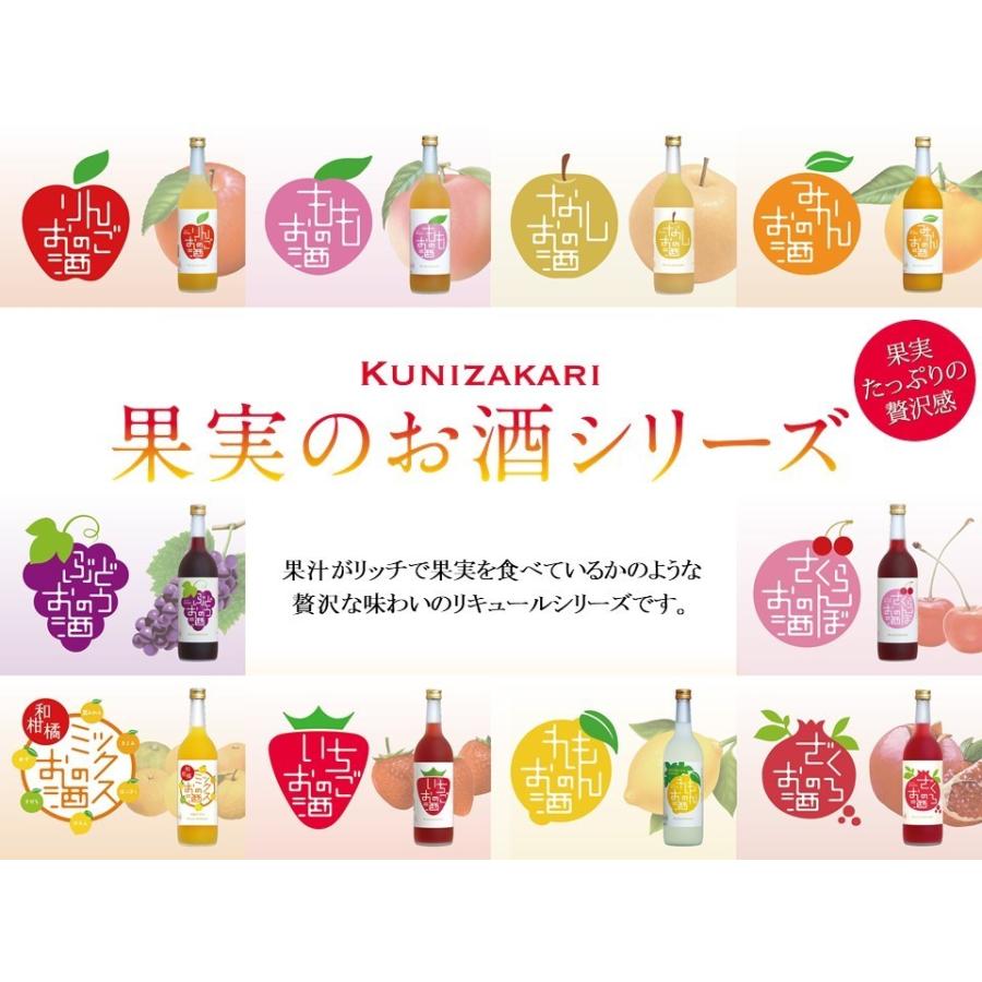 中埜酒造 國盛 フルリア マンゴーのお酒 720ml / 果実酒 リキュール