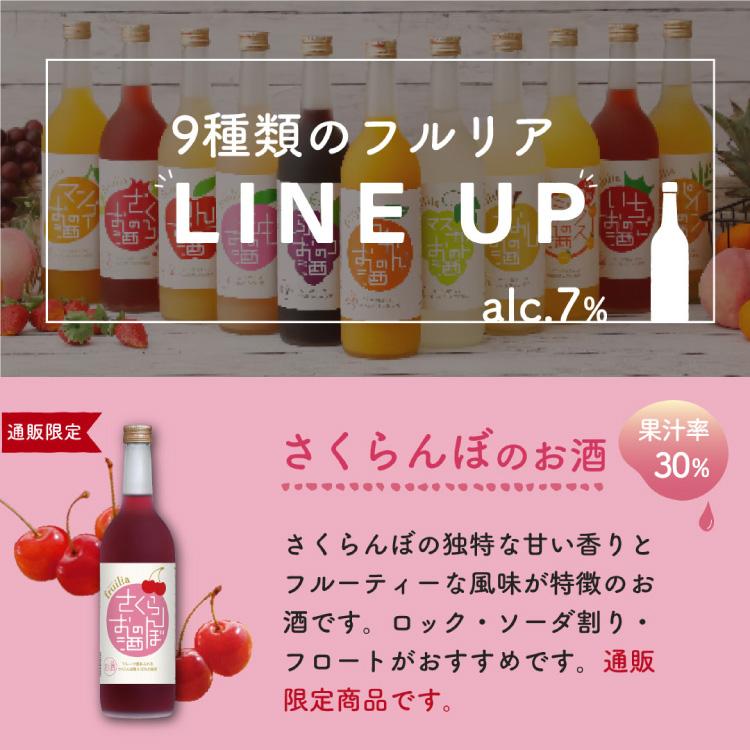 中埜酒造 【福袋】フルリア詰め合わせ 9本セット / 果実酒 果実