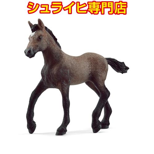 シュライヒ専門店】シュライヒ ペルビアン・パソ馬 仔 13954 動物