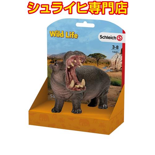 【シュライヒ専門店】シュライヒ LPカバ 14681 動物フィギュア ワイルドライフ Wild Life schleich 2024 新商品 | 