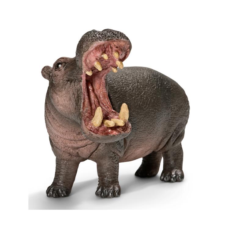 【シュライヒ専門店】シュライヒ LPカバ 14681 動物フィギュア ワイルドライフ Wild Life schleich 2024 新商品 |  | 02