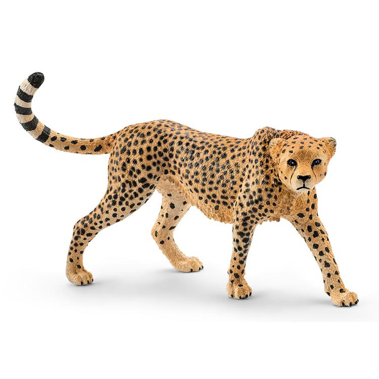 【シュライヒ専門店】シュライヒ チータ メス 14746 動物フィギュア ワイルドライフ Wild Life schleich |  | 01