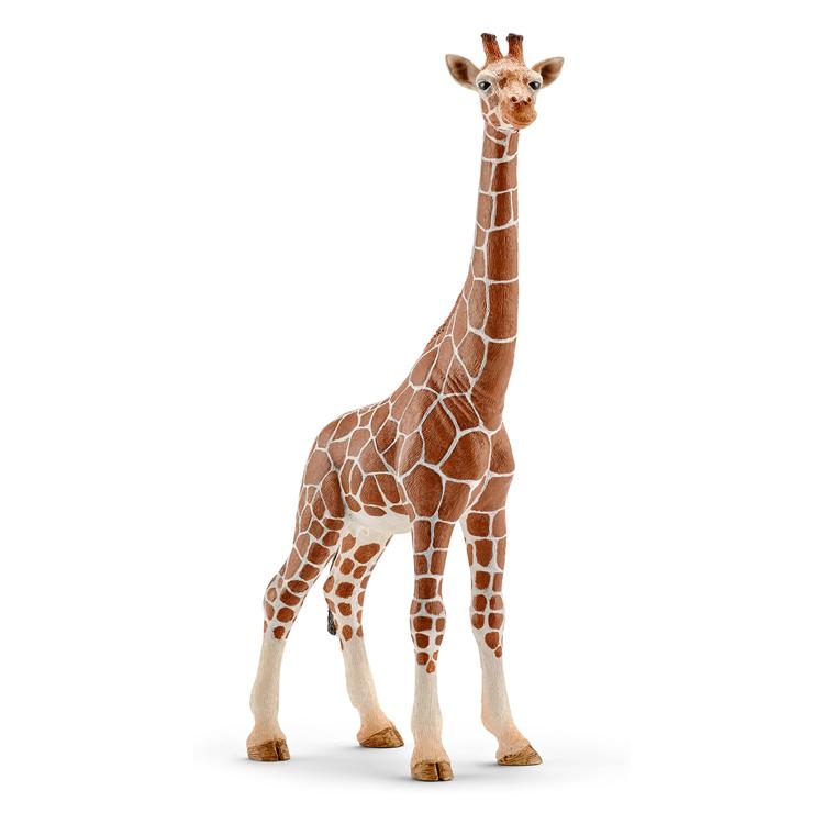【シュライヒ専門店】シュライヒ キリン メス 14750 動物フィギュア ワイルドライフ Wild Life schleich |  | 01