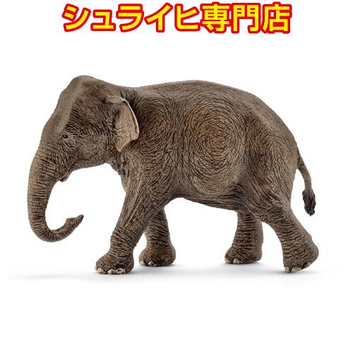 シュライヒ専門店】シュライヒ インド象 メス 14753 動物フィギュア