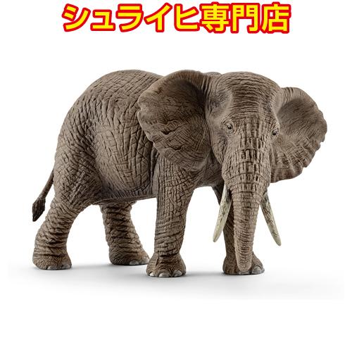 【シュライヒ専門店】シュライヒ アフリカ象 メス 14761 動物フィギュア ワイルドライフ Wild Life schleich | 