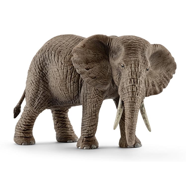 【シュライヒ専門店】シュライヒ アフリカ象 メス 14761 動物フィギュア ワイルドライフ Wild Life schleich |  | 01
