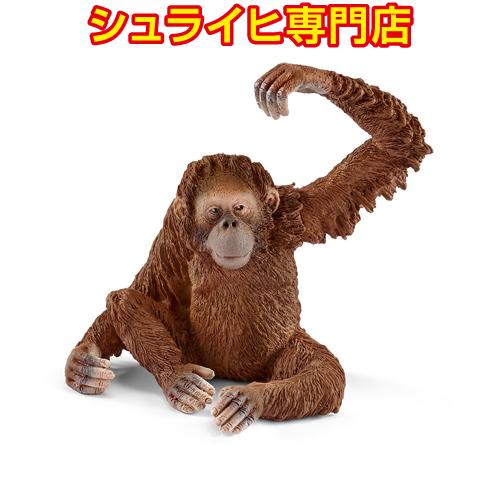 シュライヒ専門店】シュライヒ オランウータン メス 14775 動物