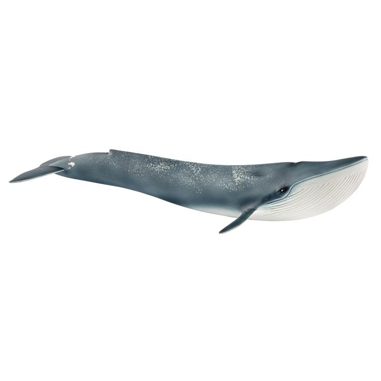 シュライヒ専門店】シュライヒ シロナガスクジラ 14806 動物フィギュア