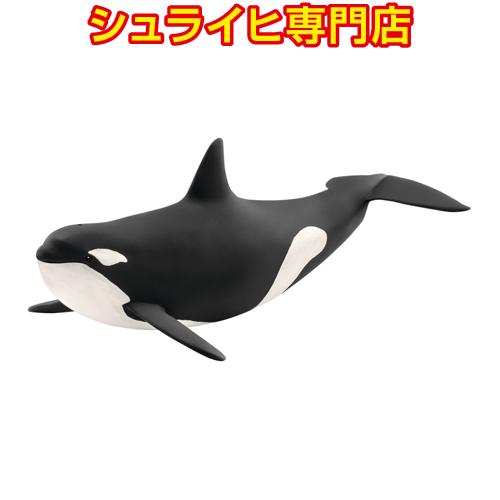 シュライヒ専門店】シュライヒ シャチ 14807 動物フィギュア ワイルド