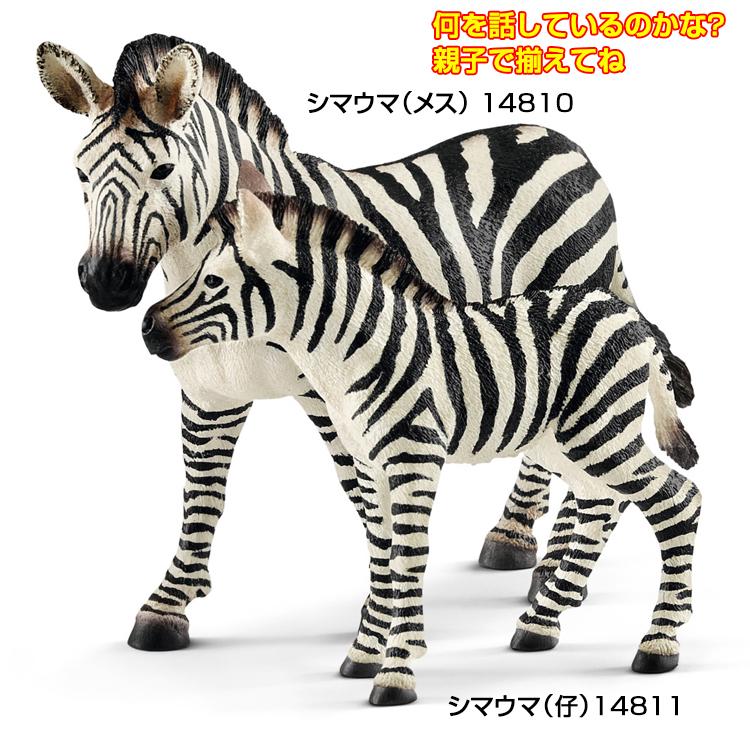 【シュライヒ専門店】シュライヒ シマウマ 仔 14811 動物フィギュア ワイルドライフ Wild Life schleich |  | 02