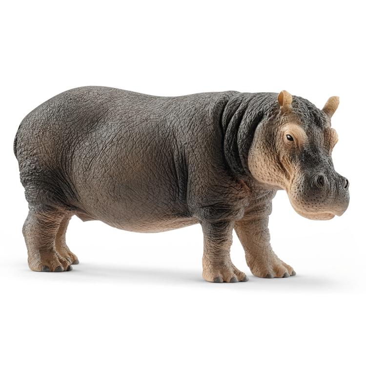 【シュライヒ専門店】シュライヒ カバ 14814 動物フィギュア ワイルドライフ Wild Life schleich |  | 01