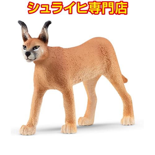 シュライヒ専門店】シュライヒ カラカル メス 14867 動物フィギュア