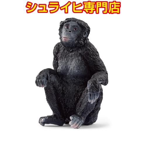 シュライヒ専門店】シュライヒ ボノボ メス 14875 動物フィギュア