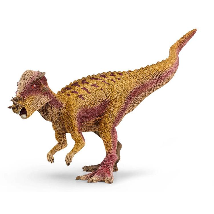 【シュライヒ専門店】シュライヒ パキケファロサウルス 15024 恐竜フィギュア 恐竜 Dinosaurs schleich |  | 01
