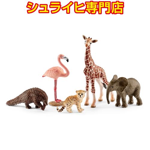 シュライヒ専門店】シュライヒ ワイルドライフの人気者セット 42388