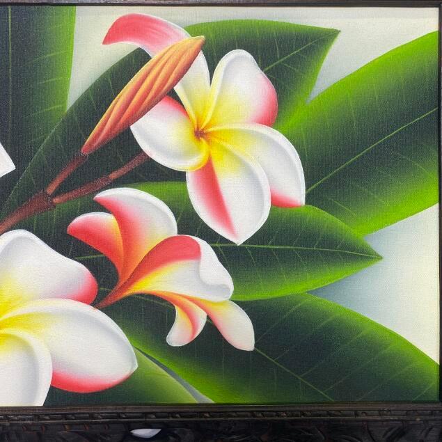 プルメリア 絵画」の人気商品一覧・価格比較 - 価格.com 花の絵