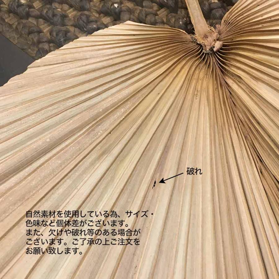 パームリーフ スペード型 2本1セット 120cm アートプランツ ヤシの葉